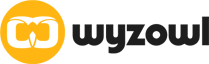 Wyzowl Video Marketing Blog
